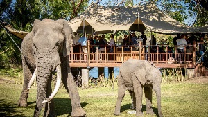 Elephant Cafe Zambia.jpg (40 KB)